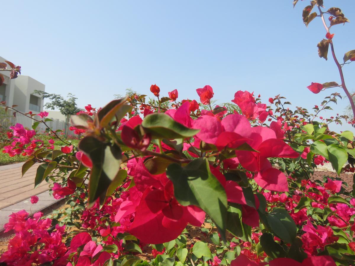 Bermuda Villas Holiday Home Ras al-Khaimah Ruang foto